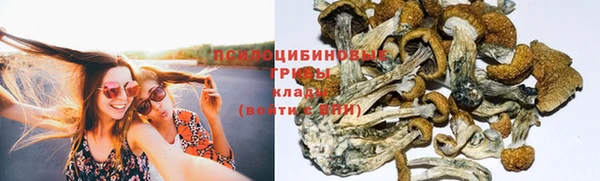 соль ск Дмитров