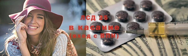 мдпв Дмитриев