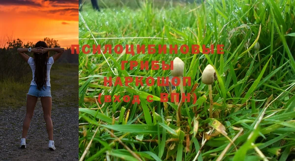 соль ск Дмитров