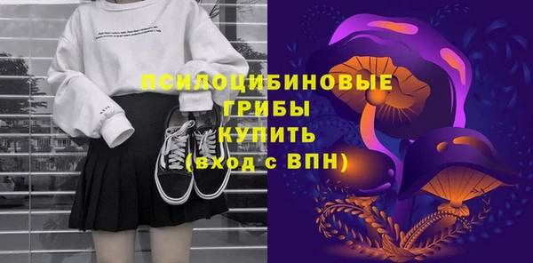 мдпв Дмитриев