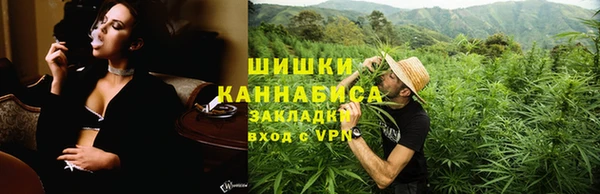 соль ск Дмитров