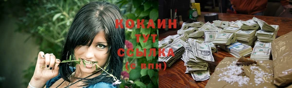 мдпв Дмитриев