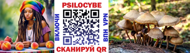 Купить закладки  Урус-Мартан  Псилоцибиновые грибы GOLDEN TEACHER 